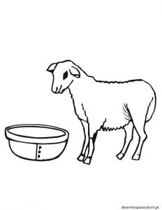 Read more about the article Desenhos de ovelhas para crianças 05